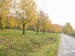 P1090073.JPG